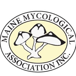 Maine Mycological Association