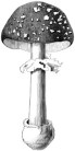 OldDesignShop_MushroomFlyAgaric1858-149x300