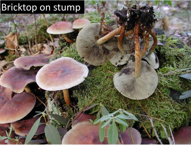 Image 10-22-18 at 10.47 PM