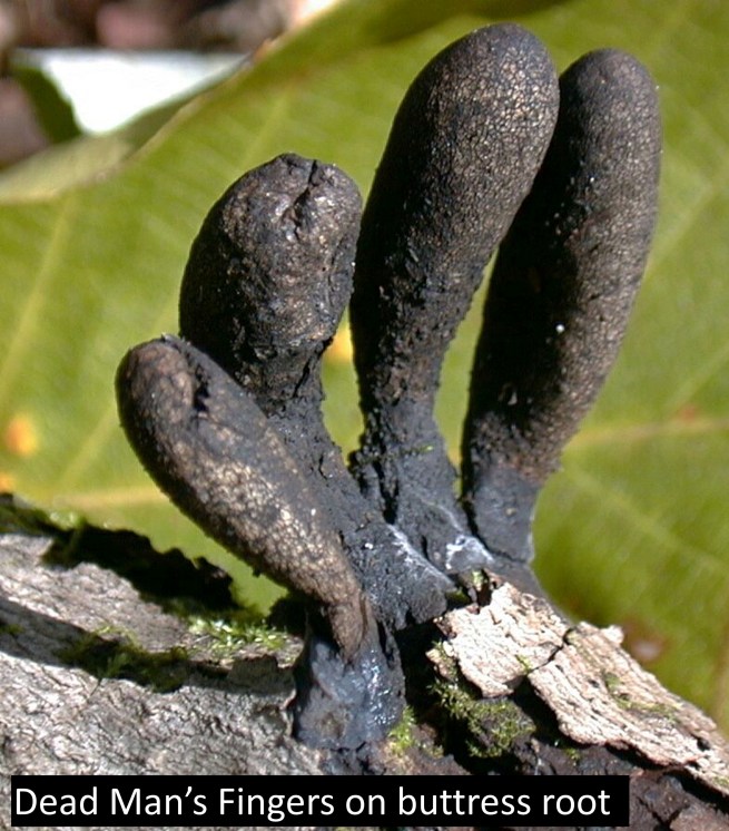 Image 10-22-18 at 10.52 PM