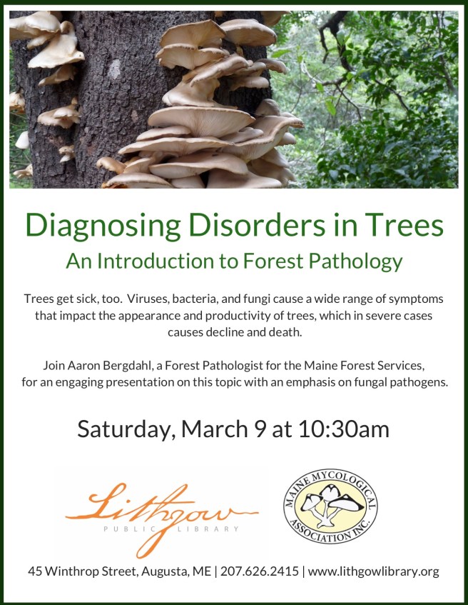 Diagnosing Disorders in Trees flyer