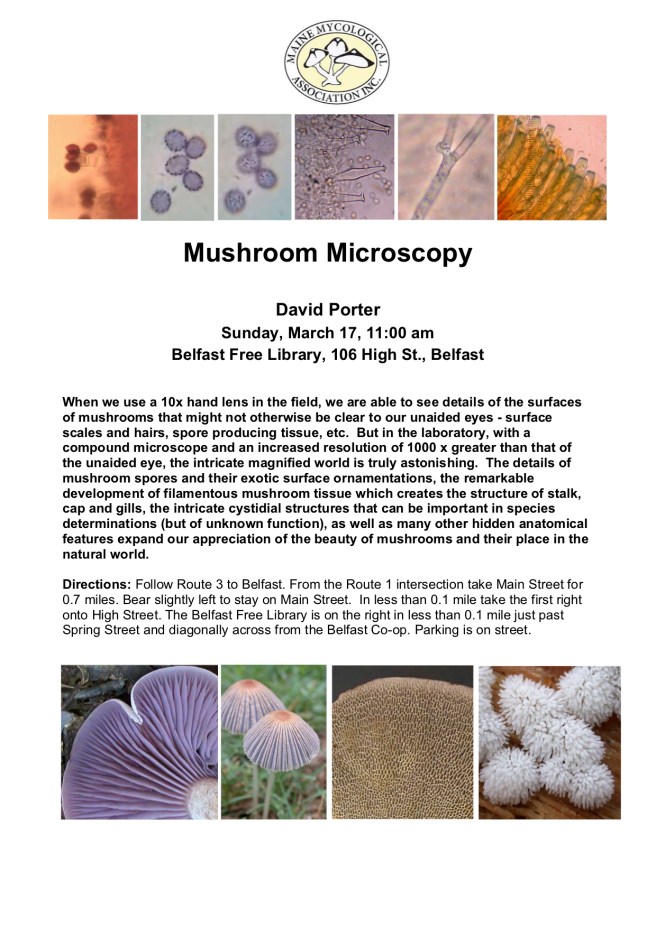 Mushroom Microscopy flyer for MMA talk 031719